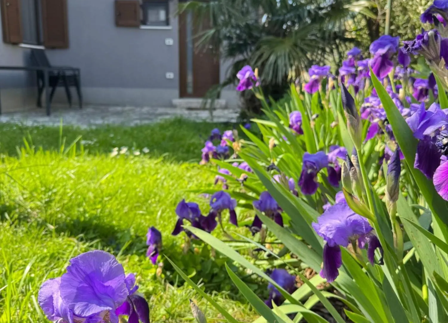 Flowers Apartments Medulin, Fucane 2